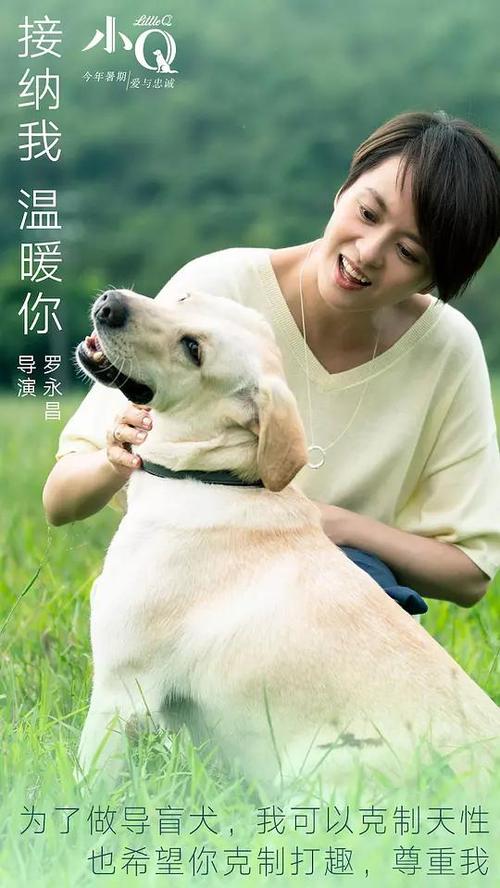美国id2020